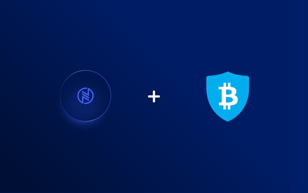 The Advantages of Centralized Crypto Custody with Netcoins
